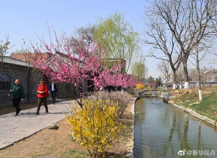 张家口手机台新闻早播报3月27日