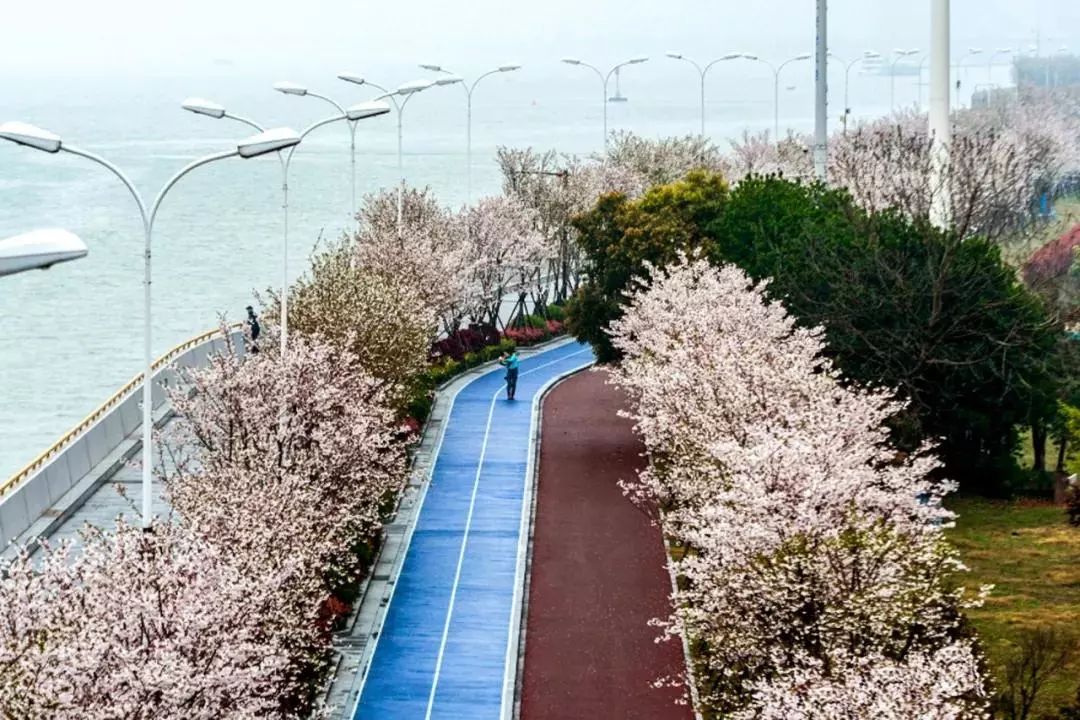 代购黄了！浙江男子因给人代购罚款100万、判刑4年！