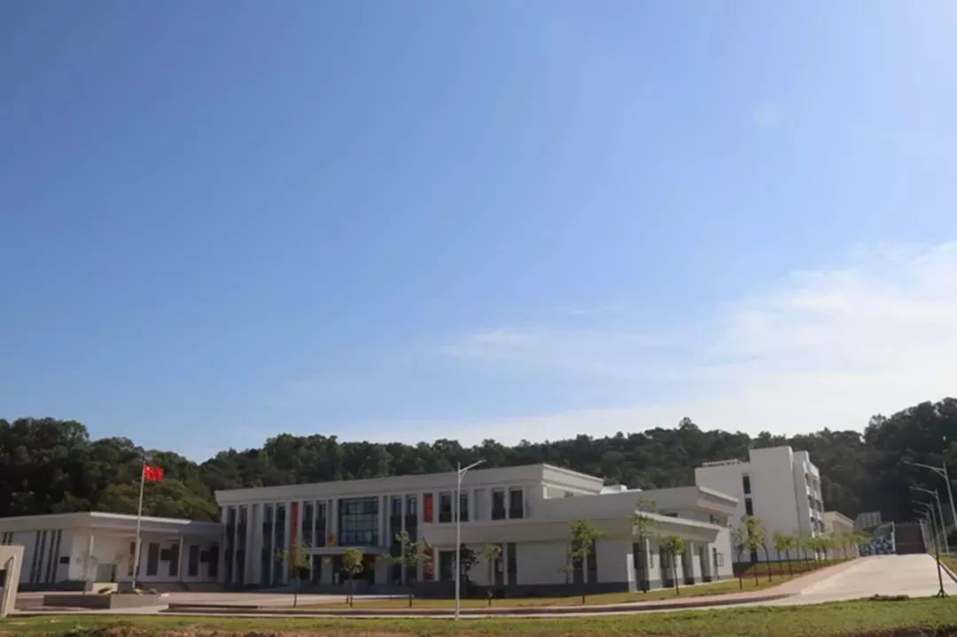 老兵来稿：我毕业于“沙角大学”的“新湾分院”