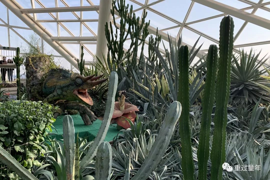 西安一个很有特色的公园,西安十大免费景区公园