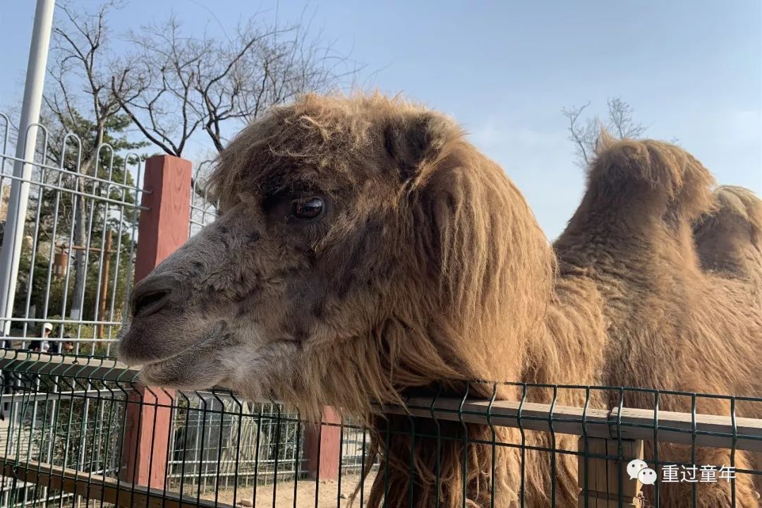 西安一个很有特色的公园,西安十大免费景区公园