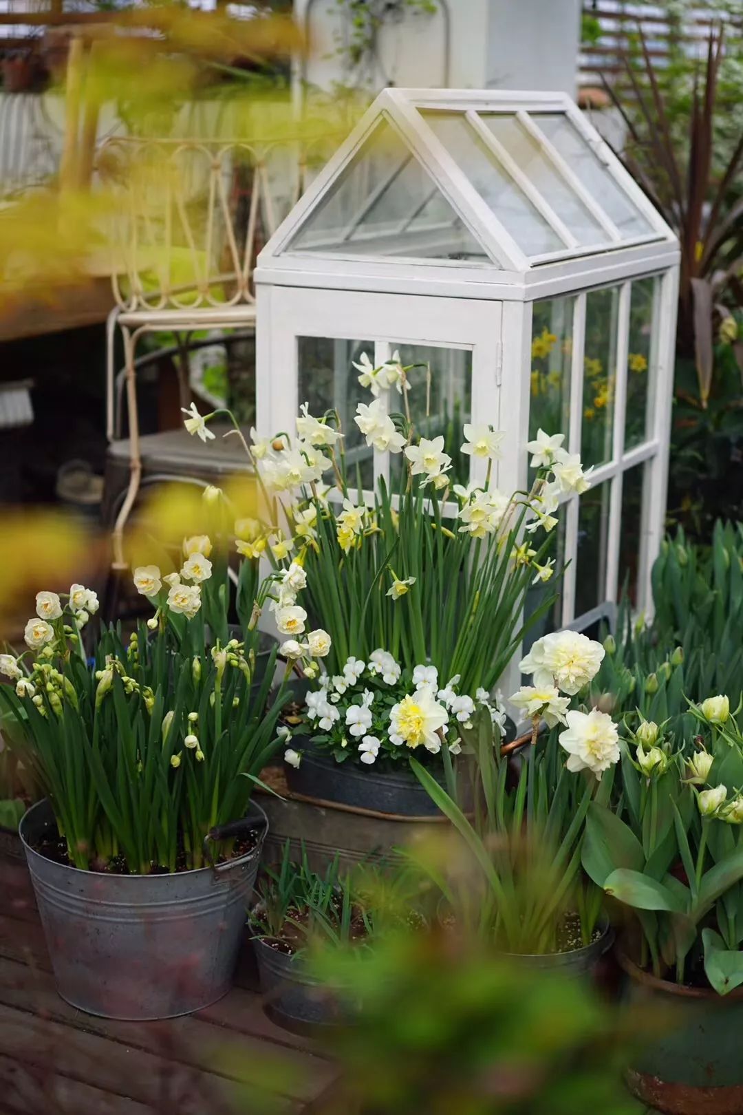 麻宁推荐|中国最时尚的未来花世界，拍照太出片了！