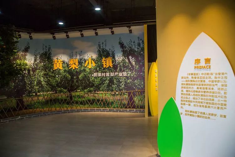 黄梨花儿开，大美馆陶等您来！