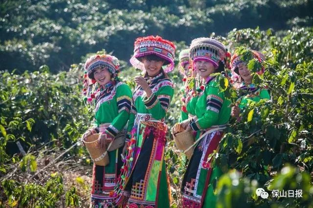保山最好咖啡豆,保山最贵的咖啡品种