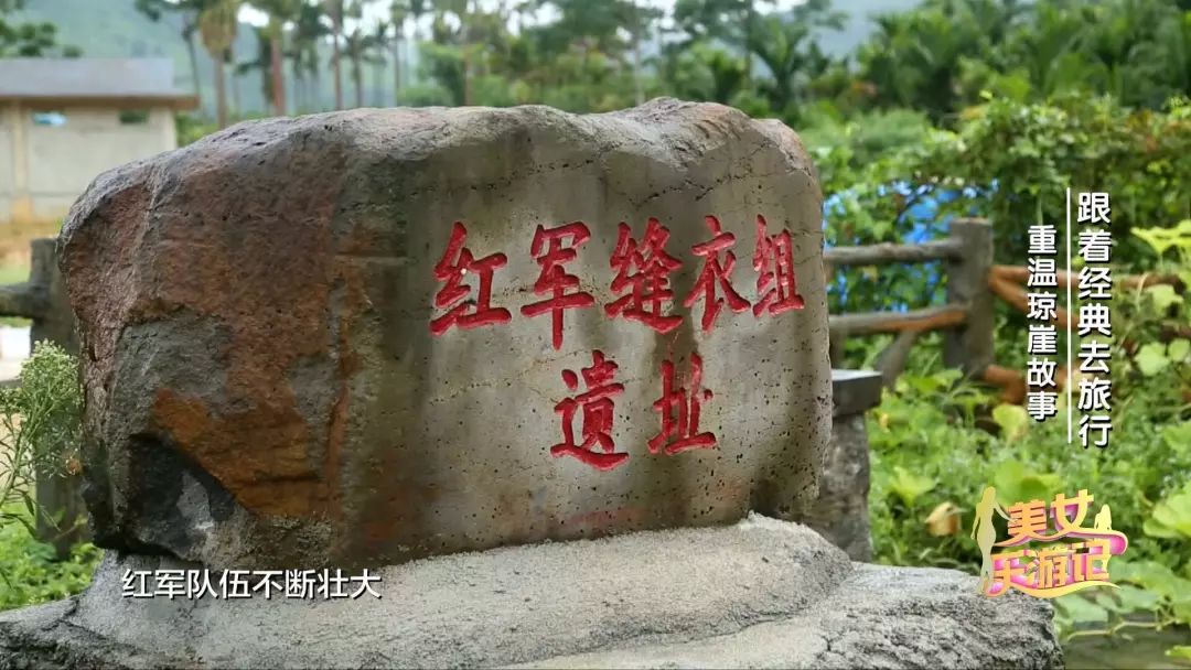 跟着我去旅行全集在线观看,跟着我去旅行原唱视频