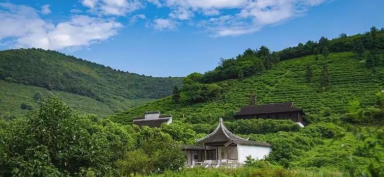 都挺好苏州取景地打卡,都挺好打卡苏州