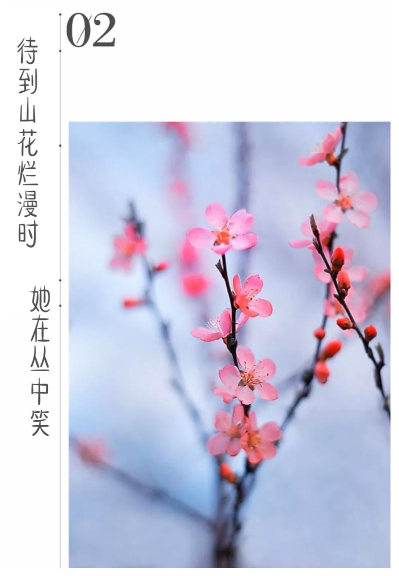 都挺好苏州取景地打卡,都挺好打卡苏州