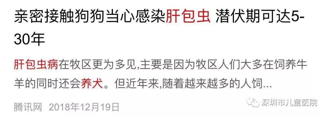 4岁娃肚大如孕妇，体内抽出2斤寄生虫液！铲屎官们注意，这虫能让你“狗带”