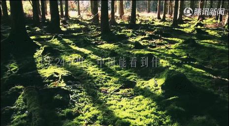 读懂十二时辰就懂人生,读懂十二时辰就懂了我们的一生