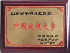 熬夜护肝养颜茶配方大全,熬夜养生茶喝出健康