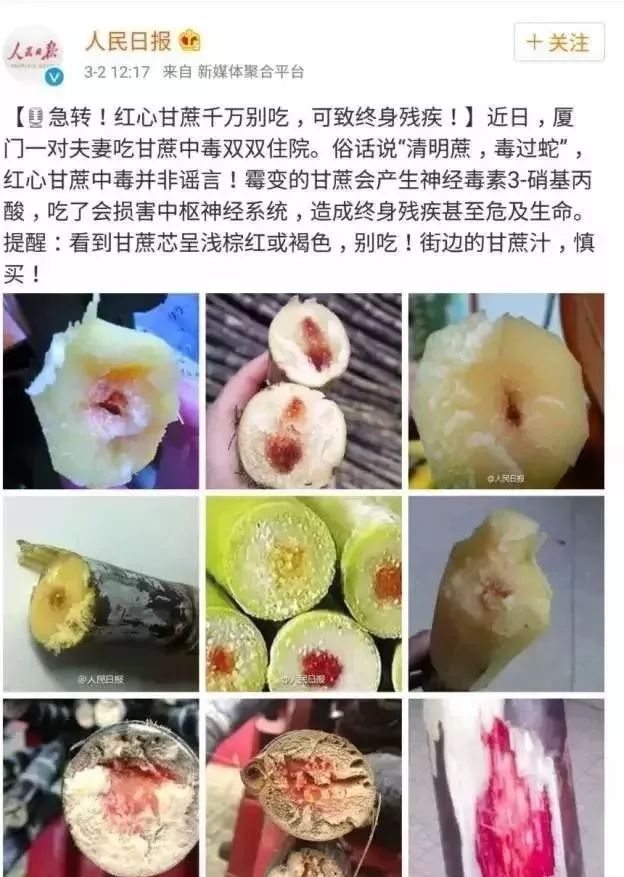 南充有什么特色好吃的可以带走的,南充有什么好吃的特产
