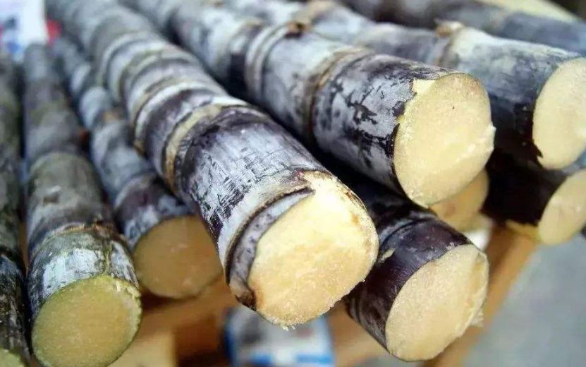 福建人都爱吃的这东西，竟然比毒蛇还毒？朋友圈今天被它刷爆！但别慌，真相是这样的…