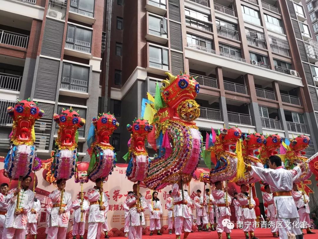 群龙聚首贺新春,青秀区国际传统舞龙邀请赛