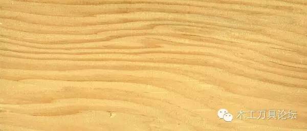 识别木材优劣家居人必备基本功,木材识别基础知识