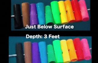 桥墩构造方法有哪些,桥墩究竟是怎么造