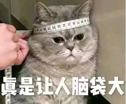 广州示范性高中认定最新消息,广州市国家级示范性高中名单