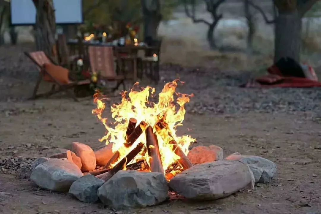 沙漠一年出现的奇观,沙漠黄河的奇景