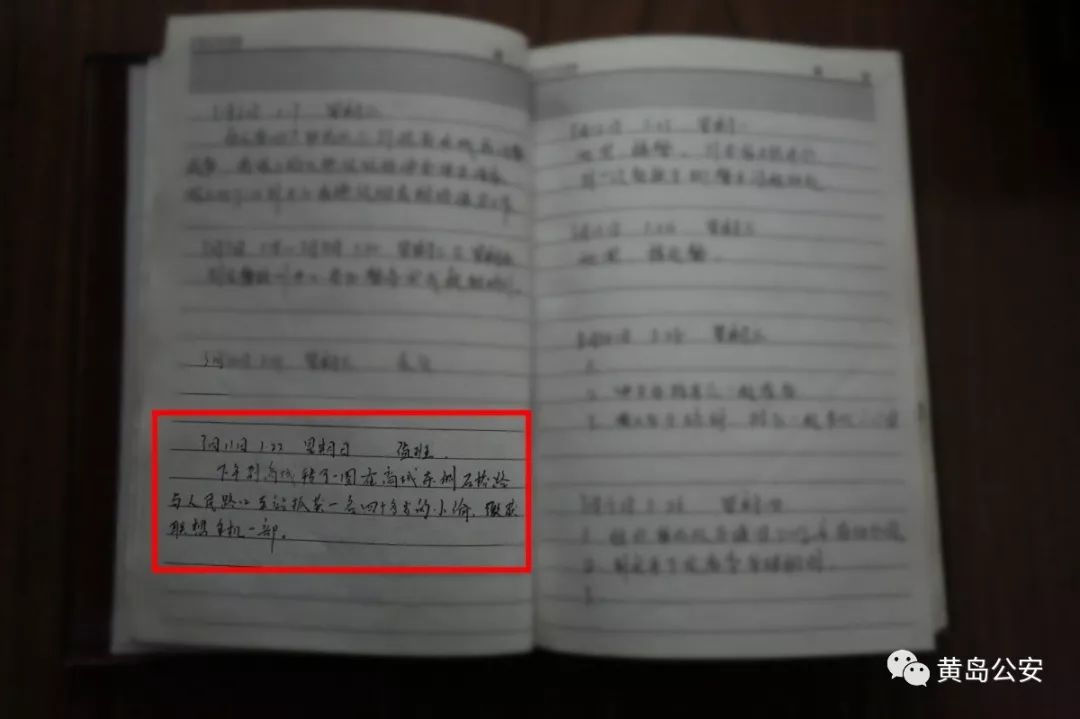 忠诚之路,忠诚之路完整版