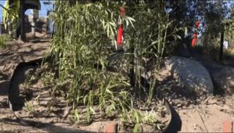 耗资1.5亿的阴阳太极状宫殿，毛二星二的丹麦新家也是太美好