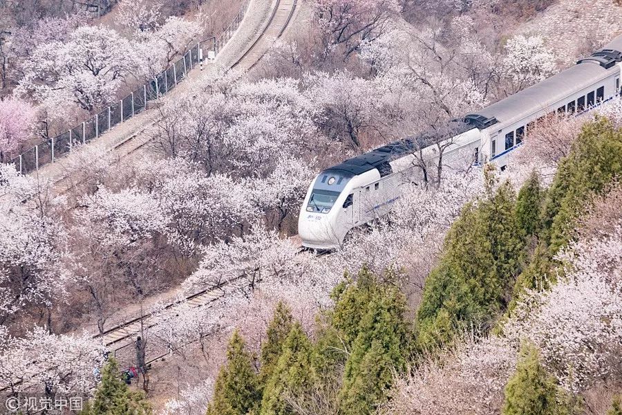 最适合清明旅行的20个地方,清明小长假适合哪里旅游