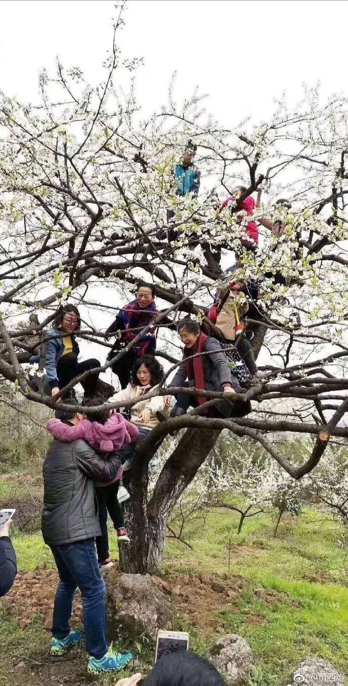 现在福州天气直播,清明福建高速路况实时直播