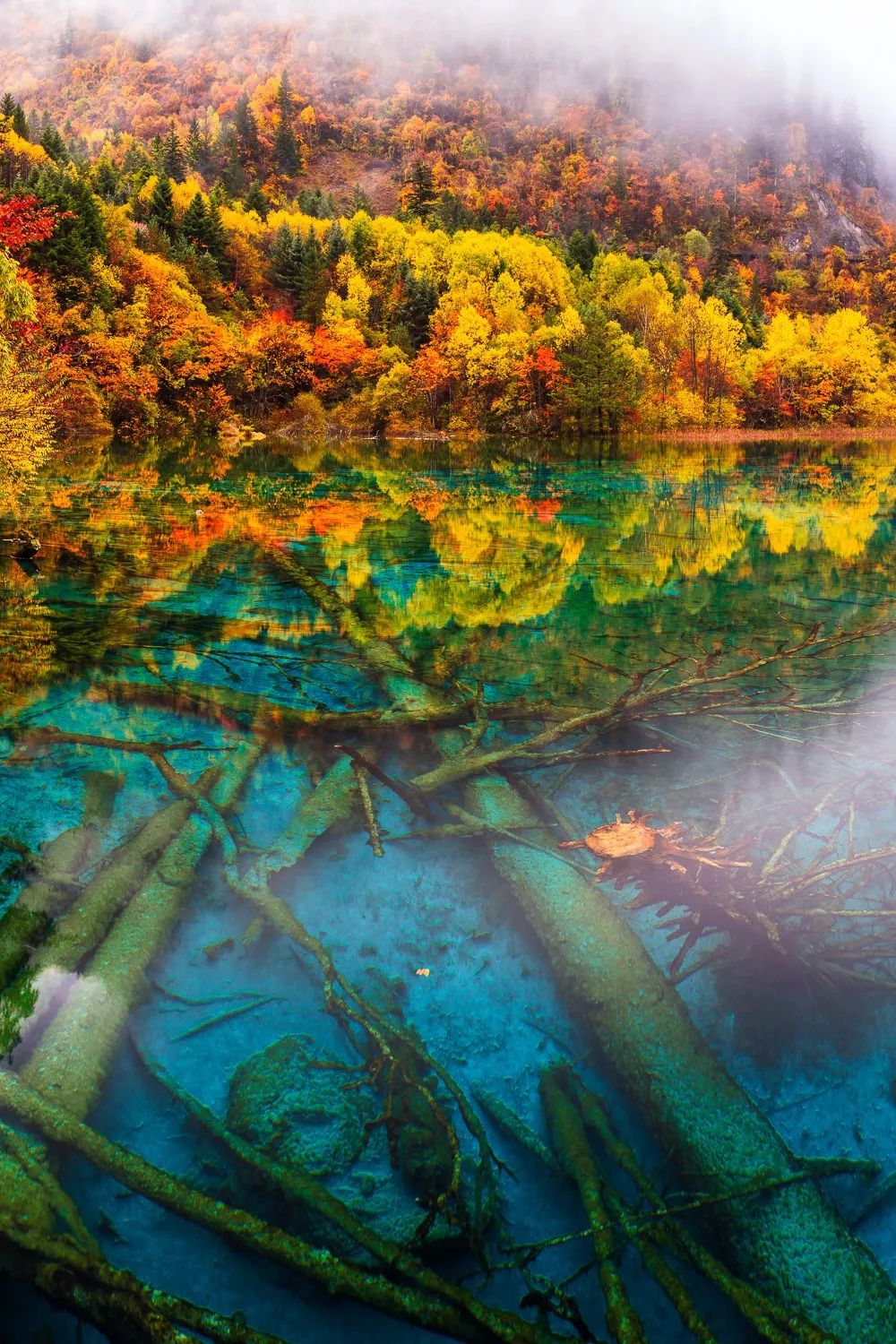 中国南方喀斯特环江,中国南方喀斯特