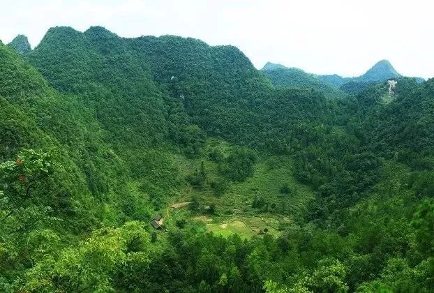 中国南方喀斯特环江,中国南方喀斯特