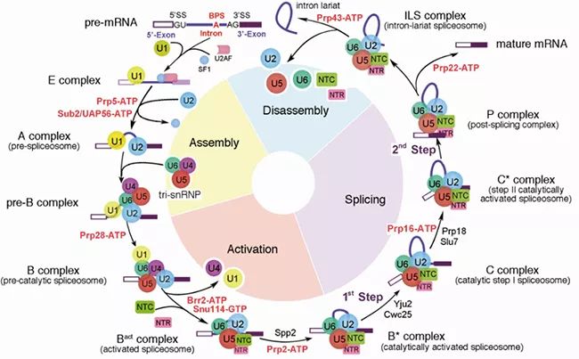 机械前沿领域的科研成果,盘点医学界前沿十大科研成果