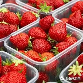 翘首以待!海门中南城第二届草莓节来啦!重磅福利不止是说说而已!