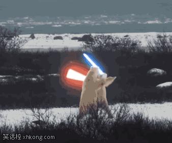 刚秀完恩爱就被分手,刚刚秀完恩爱就分手