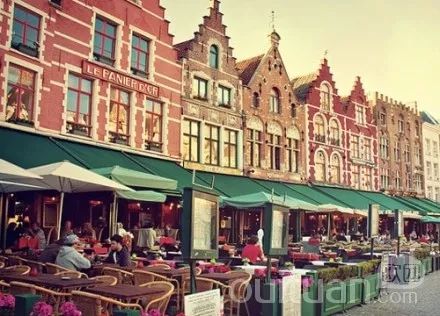 荷兰花海一日游50元,荷兰花海一日游攻略5月20号