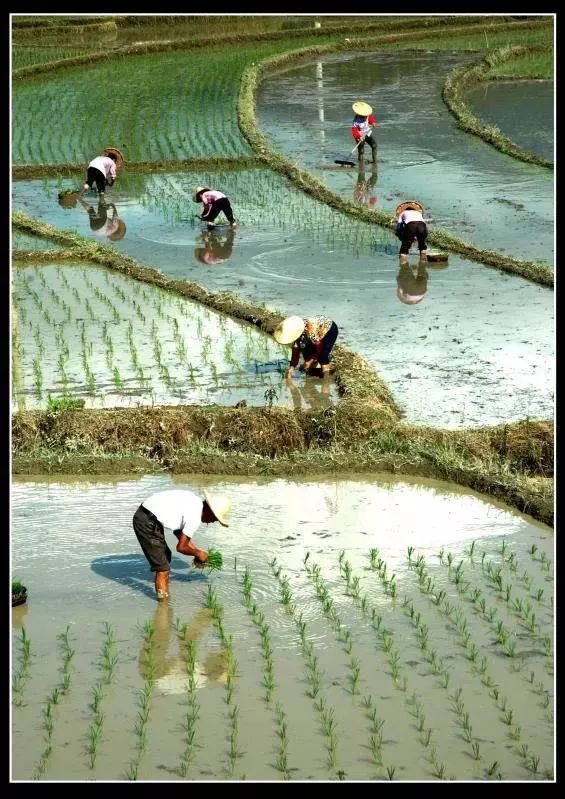 厦门同安真实风景,镜头下的风景真的很美