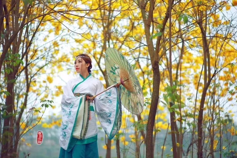 诏安小云水谣,诏安旅游团云水谣景区