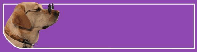 狗狗感冒了可以吃成人感冒药吗,刚出生5天的狗狗感冒了怎么办