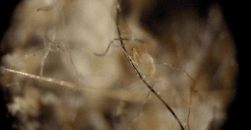 衣服收纳箱除臭留香,衣服收纳箱有异味怎么办