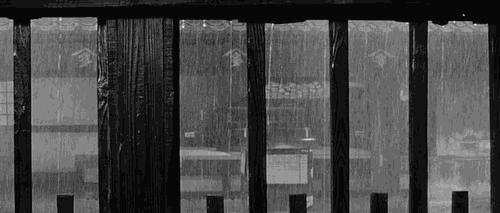 衣服收纳箱除臭留香,衣服收纳箱有异味怎么办