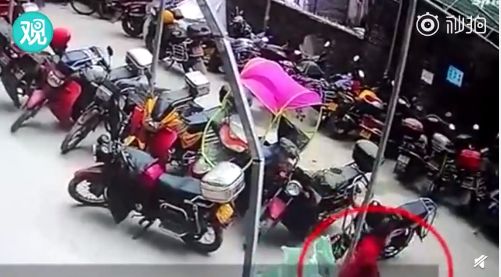 4.8日|新早读来了！奇迹！重庆女童26楼坠下，自行爬起离开