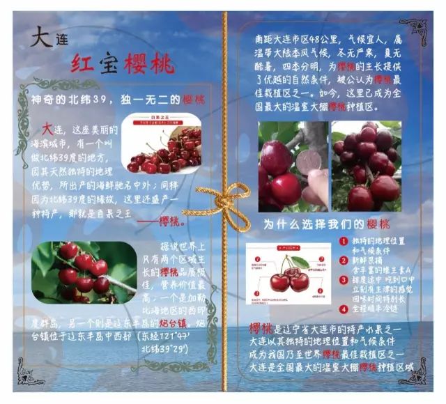 前国门安琦家的樱桃又来啦！为了孩子，他用守护球门的双手，种出了汁多甘甜的超好吃樱桃