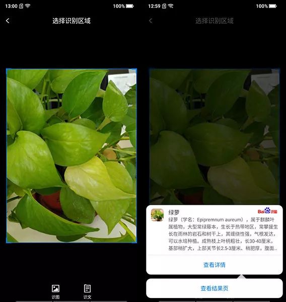 海信金刚5手机,海信金刚5pro评测