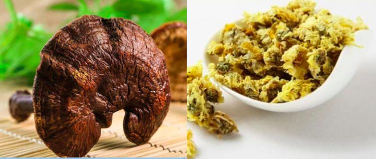 女团翻车韩国,女团翻车视频