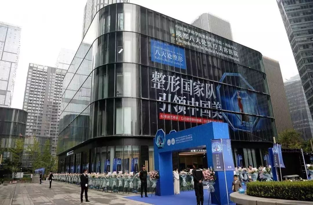 整容机构哪家强,全球整容业