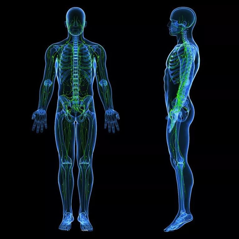 泰国回来得了白血病,泰国旅游回国后确诊淋巴瘤