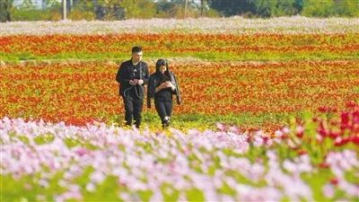 生态经济培育全面推进绿色发展,生态文明建设引领绿色发展