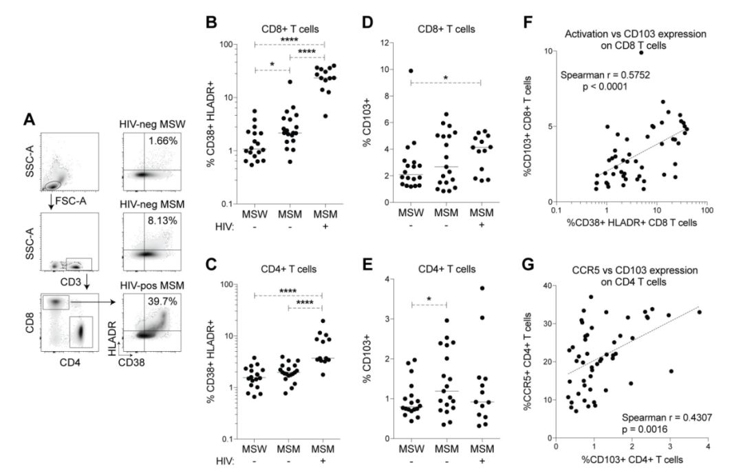 百晓生拿什么拯救你我的爱人,百晓生解析寄生虫