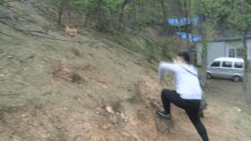 丹江口斗鱼,斗鱼之路丹江口