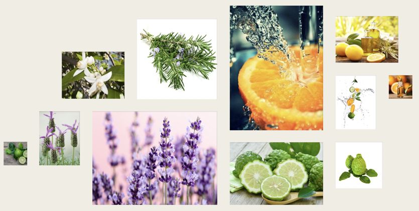 新西兰高端沙龙专用，2秒1喷，增发从“根”开始