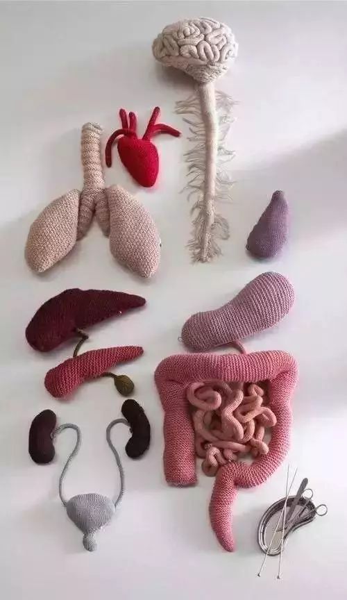 毛线编织水果宝宝教程,0到3岁宝宝手工编织完整版