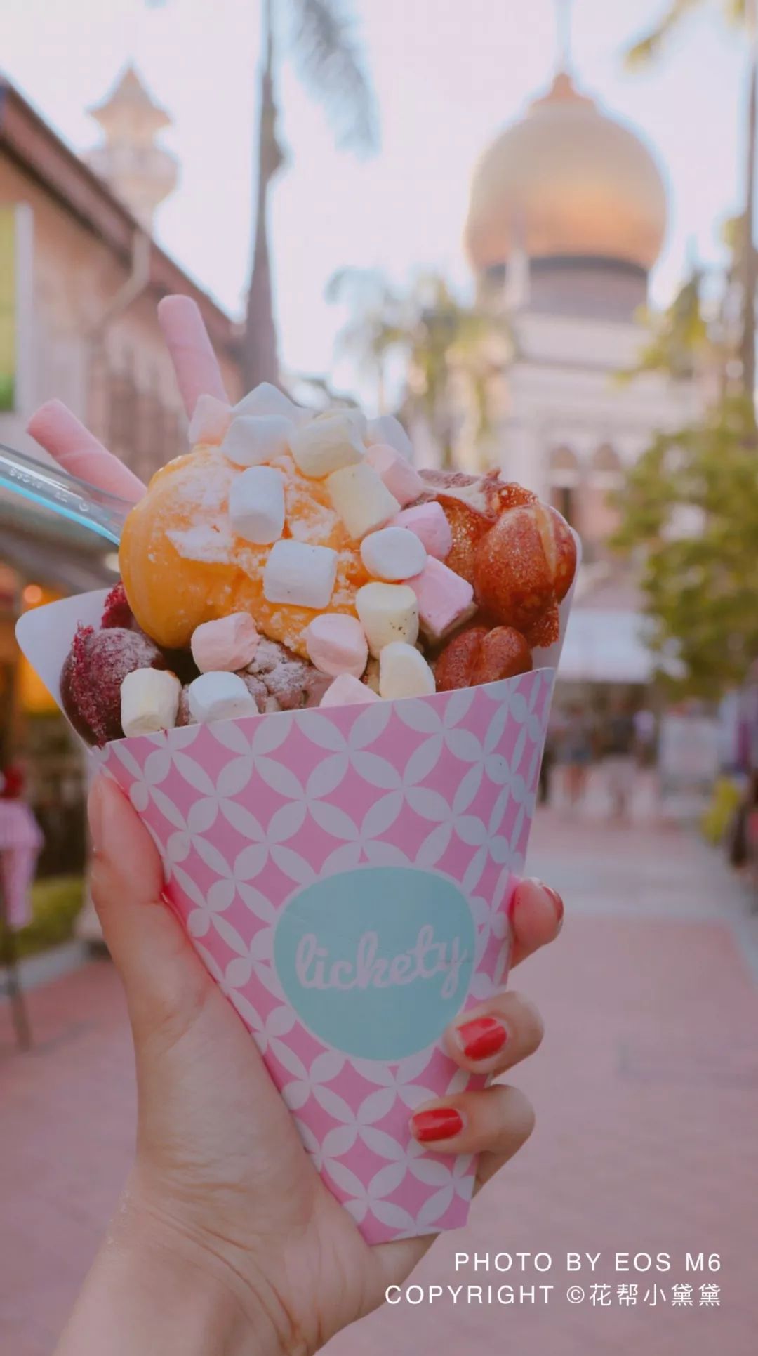 真香原版图片大全,新加坡图文旅游攻略