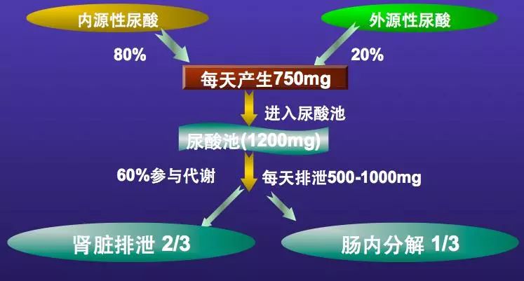 尿酸高不能吃的蔬菜的列表,尿酸高不能吃的水果蔬菜有哪些