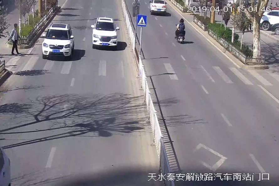 交通违法曝光台案例,交通违法曝光台